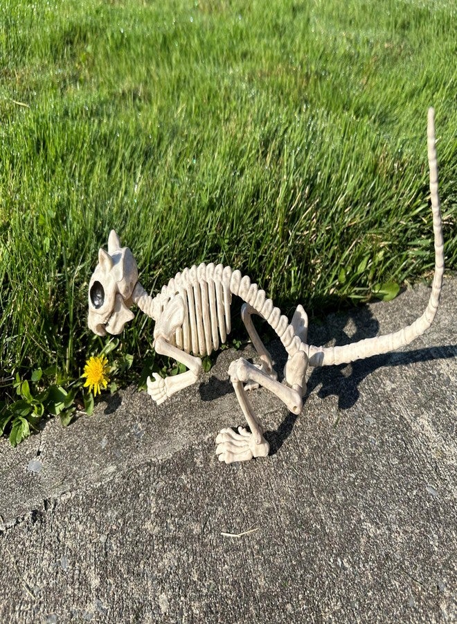 Crazy Bonez Skeleton Squirrel - 7" Halloween Skeleton Animal Decoration with Bendable Tail, Durable All-Weather Plastic, Realistic Bone Detail for Indoor Outdoor Spooky Décor and Garden Displays - Image 3